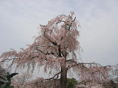 c0054212_12511147.jpg