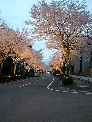 f0004019_9175511.jpg