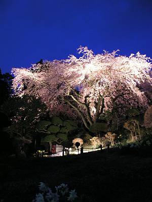 f0004019_9231932.jpg