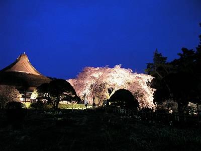 f0004019_9233886.jpg