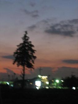 e0075621_1715.jpg