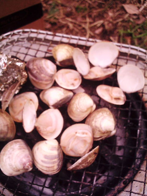 f0079723_1920793.jpg