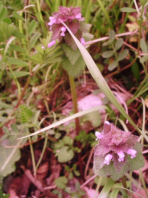 f0079723_20521955.jpg