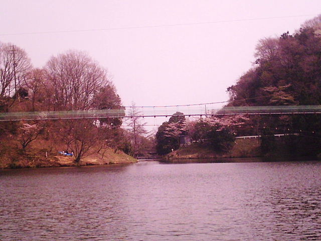f0079723_21192656.jpg
