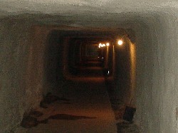 d0004627_2110930.jpg