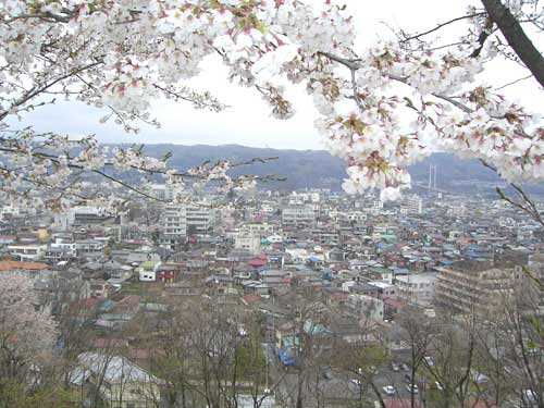 e0062530_158476.jpg