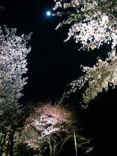 a0041737_15203931.jpg