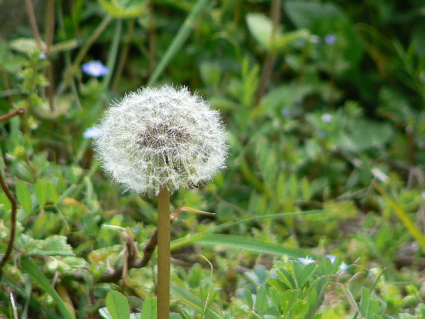 e0083238_23204045.jpg