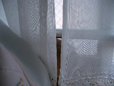 b0066240_22494375.jpg