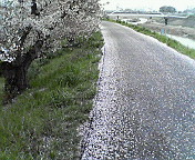 c0046340_031253.jpg