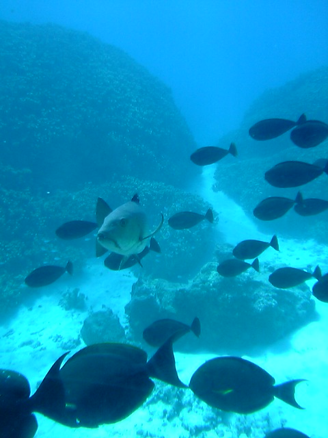 d0016155_20535478.jpg