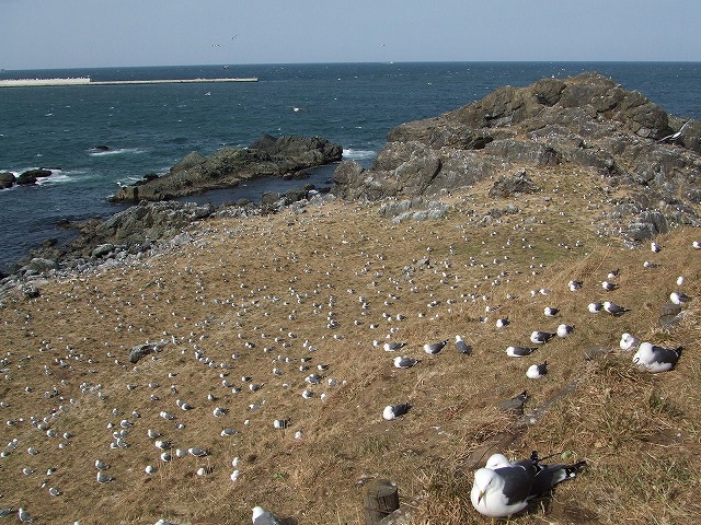 c0048667_12283664.jpg
