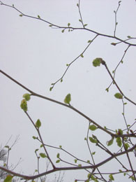 f0032969_14442834.jpg