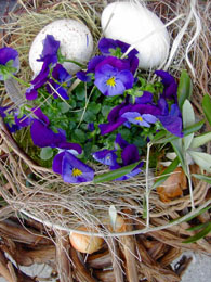 f0032969_1571237.jpg