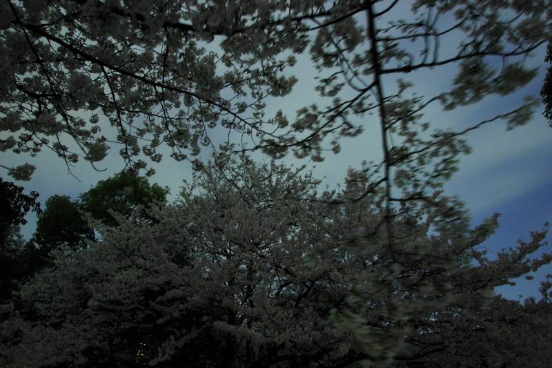c0030874_6335012.jpg