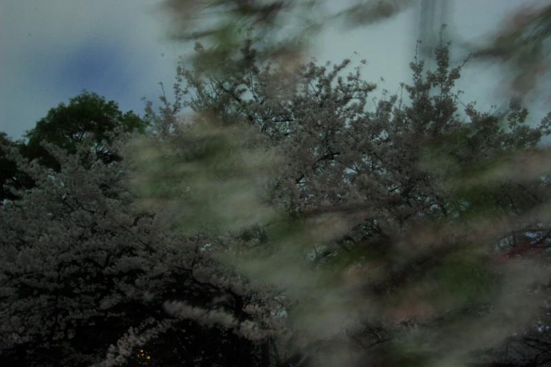 c0030874_6342459.jpg