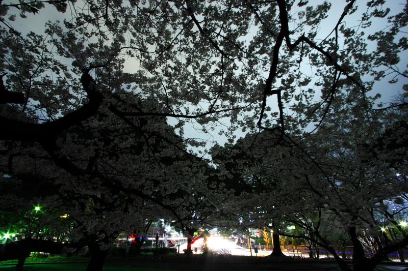 c0030874_6345930.jpg