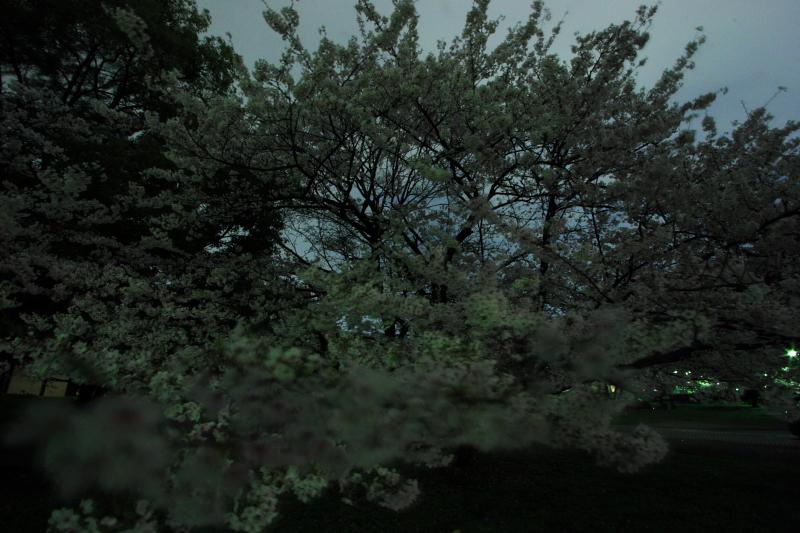 c0030874_6362954.jpg