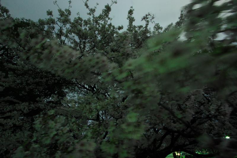 c0030874_6375766.jpg