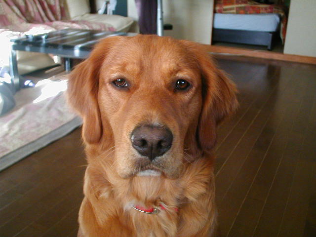 f0005081_20514999.jpg