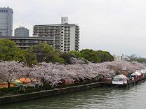 a0067485_2355112.jpg