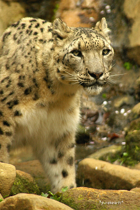c0052787_2012276.jpg