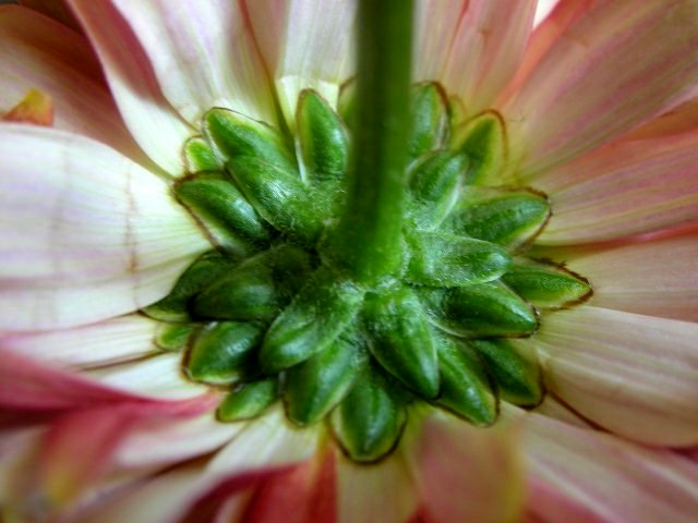 f0083400_1804629.jpg