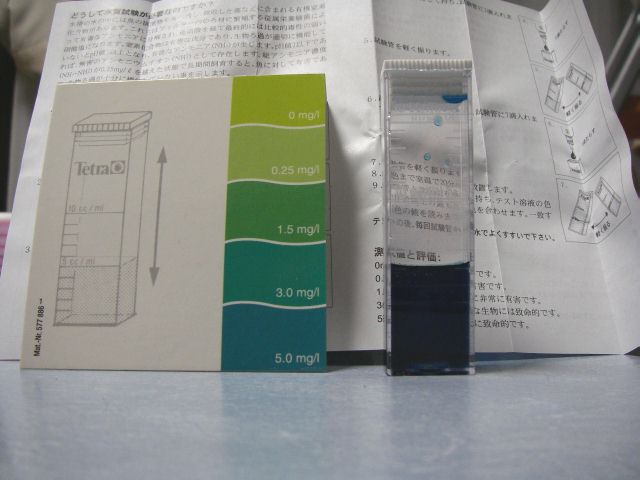 e0010301_11212578.jpg