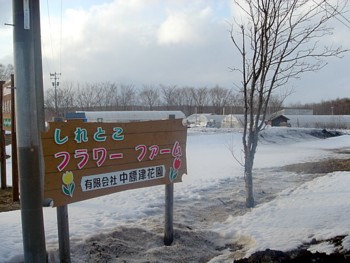 f0020302_1227468.jpg