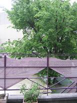 f0031420_9562840.jpg