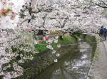 e0009324_1384011.jpg