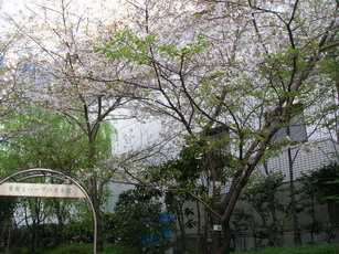 c0045127_23273517.jpg