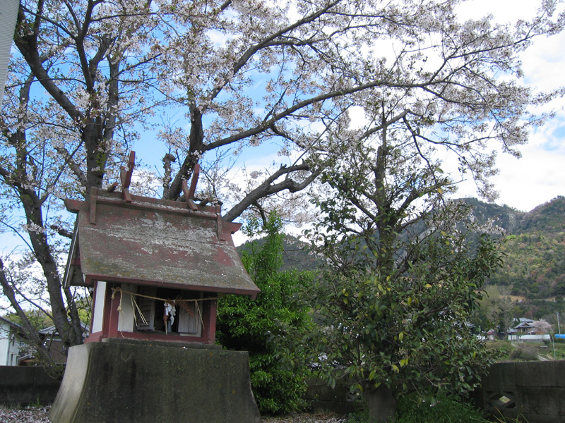 a0059328_2240143.jpg
