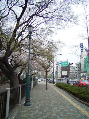 c0070528_11270.jpg