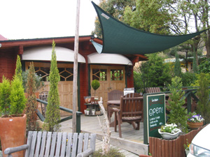 e0077528_1956251.jpg