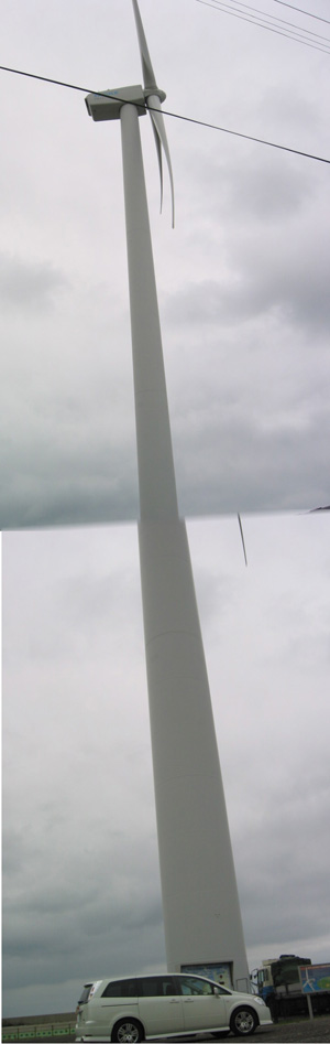 e0077528_20395545.jpg
