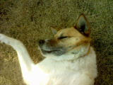b0074430_18482053.jpg