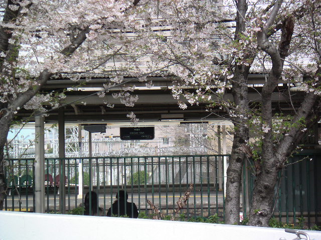 b0060646_2227270.jpg