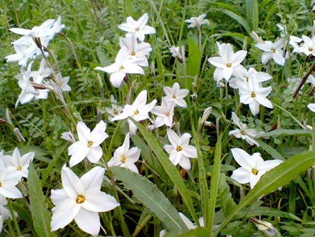 e0034047_043440.jpg
