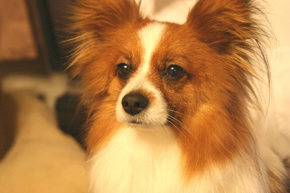 d0013149_10314498.jpg
