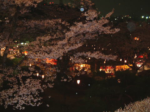 f0041850_1565872.jpg