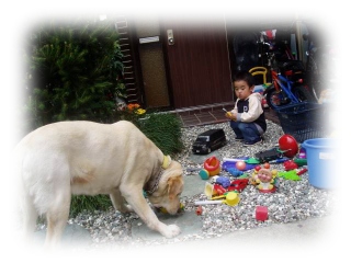 d0046853_2375569.jpg