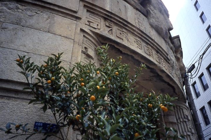 f0055668_6194665.jpg