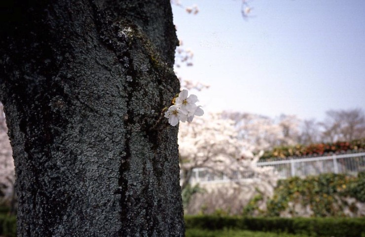 f0055668_6283423.jpg