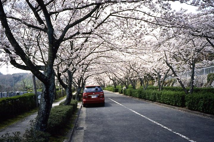 f0055668_6292566.jpg