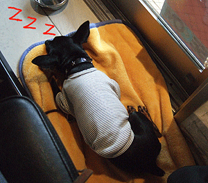 c0012571_12204146.gif