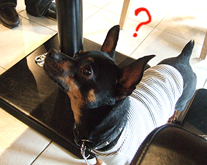 c0012571_12222089.gif