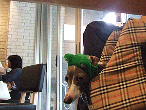 c0012571_12253212.gif