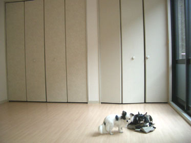 d0034273_064239.jpg