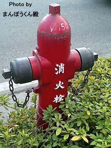 b0038588_21115993.jpg